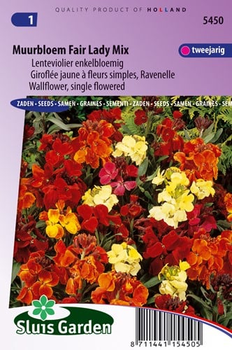 Assortimento di Violacciocca Gialla 'Fair Lady' (Erysimum cheiri)