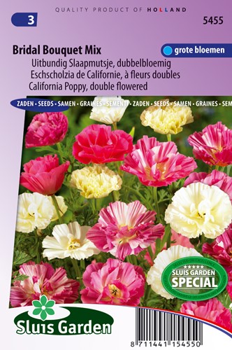 Papavero dalla California Mix Bouquet della sposa (Eschscholzia californica)