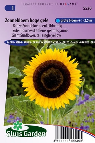 Girasole Gigante (Helianthus)