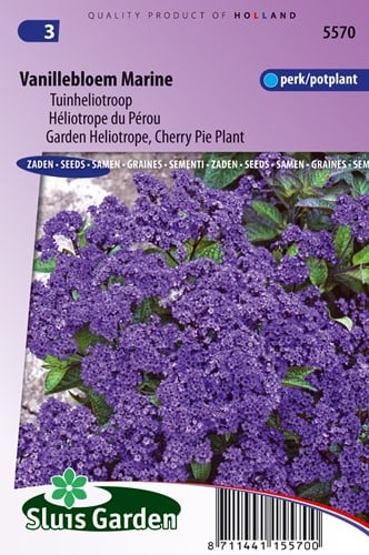 Fiore di vaniglia Marine (Heliotrope)