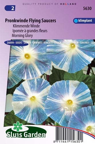 Ipomea Flying Saucer - Ipomoea
