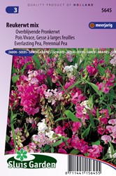 Cicerchia mix (Lathyrus)