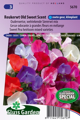 Assortimento semi Cicerchia 'Bijou' (Lathyrus)
