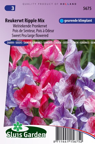 Cicerchia ‘Ripple’ mix assortito (Lathyrus)