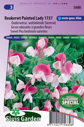 Cicerchia ‘Painted Lady’ 1737 (Lathyrus)