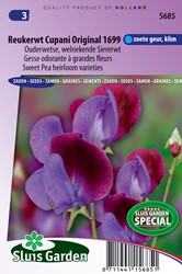 Cicerchia ‘Cupani’ original 1699 (Lathyrus)