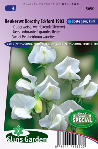 Cicerchia 'Dorothy Eckford' (Lathyrus)