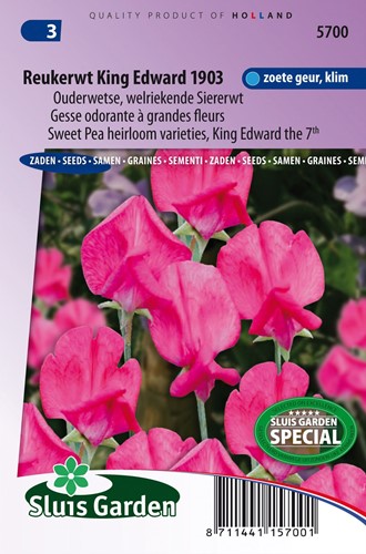 Cicerchia 'Re Edoardo VII' (Lathyrus)