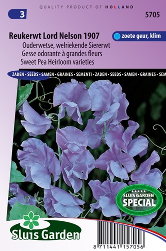 Cicerchia Odorosa Lord Nelson 1907 - Lathyrus Odoratus