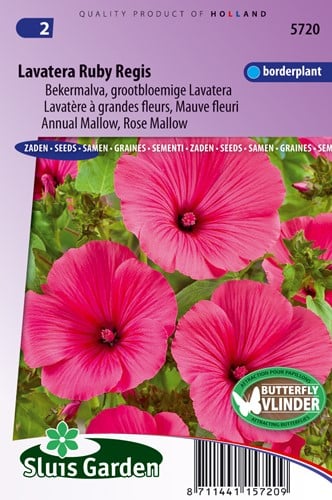 Lavatera Rubi Regis - Malva