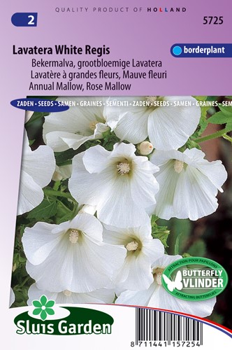 Lavatera White Regis - Malva