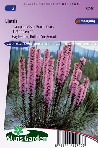 Liatrinae, Liatride - Liatris