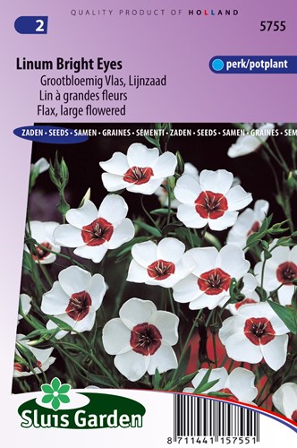 Bright Eyes lino (Linum)