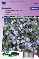 Blu lino - Linum perenne