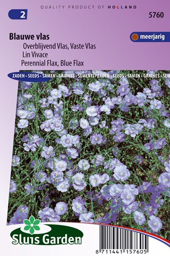 Blu lino - Linum perenne