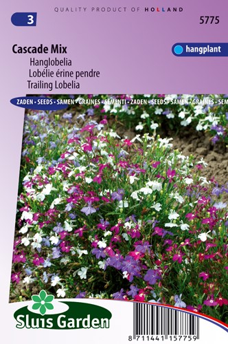 Mix Lobelia 'Cascade'