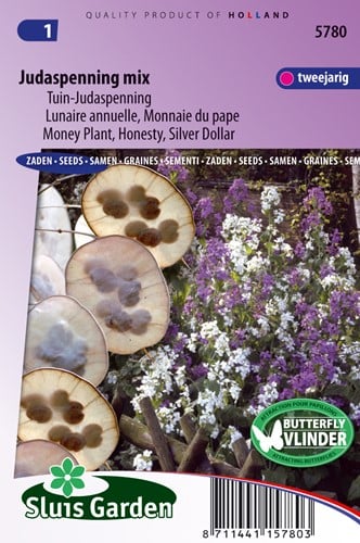 Monete del papa - Lunaria