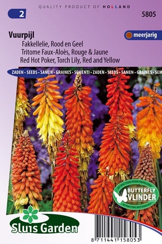 Kniphofia rosso e giallo - Giglio della Torcia