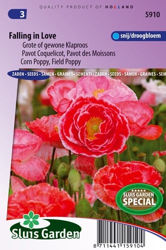 Papavero Falling in Love - Papaver rhoeas
