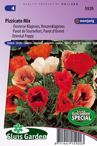 Assortimento Papavero Orientale 'Pizzicato'