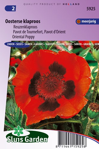 Papavero Orientale 'Rosso' (Papaver)