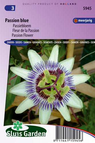 Passiflora Passion Blue