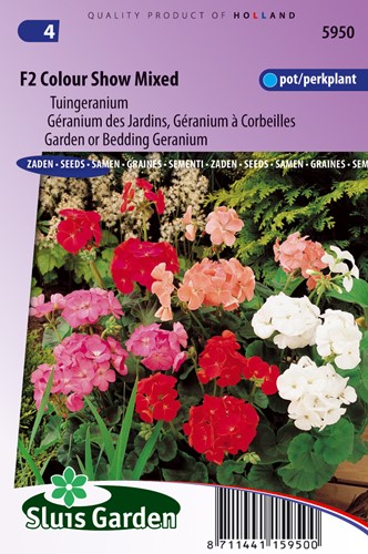 Garden Geranium F2 Colour Show Mix