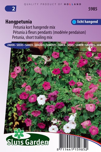 Petunie, appeso brevemente mescolare