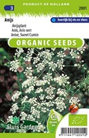 Anijs BIO - Pimpinella anisum