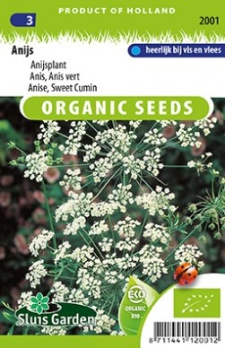Anice BIO - Pimpinella anisum