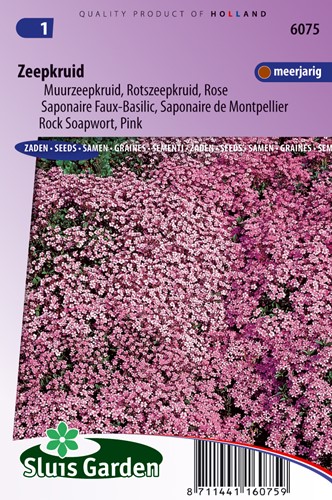 Saponaria Rose Pink (Saponaria)