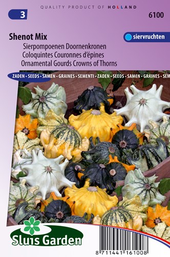 Cucurbita Corona di spine Shenot mix
