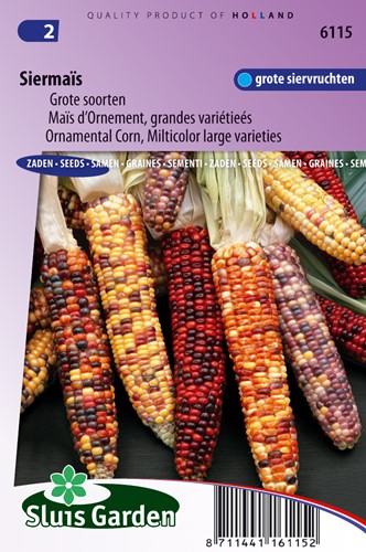 Mais ornamentale grandi frutti misti