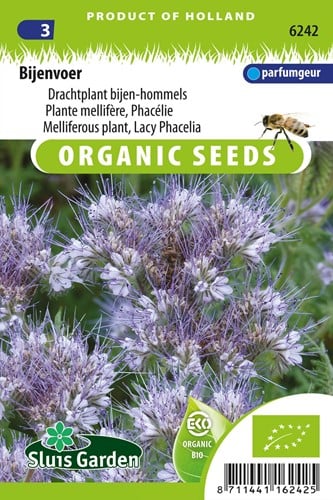 Sementi per api, Phacelia EKO - Sementi biologici