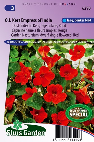 Nasturzio Imperatrice d'India rosso, basso a fiore singolo