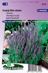 Ereprijs Blue Shades (Veronica)