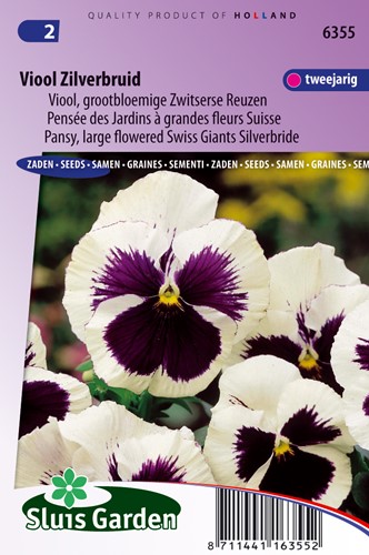 Viola wittrockiana 'Silverbride'