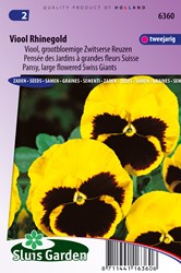 Viola wittrockiana 'Rhinegold' - Sluis Garden