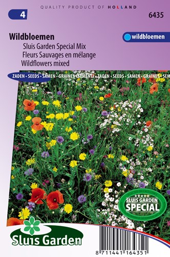Miscela 'Wildflower' (Fiori selvatici)