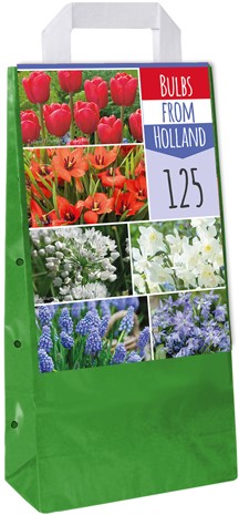 Borsa Mix Delfts Blauw Holland - Bulbi floreali