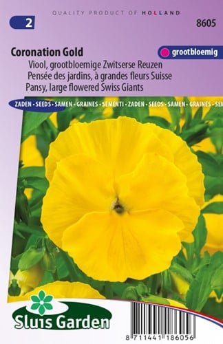 Viola Coronation Gold - Viola Wittrockiana