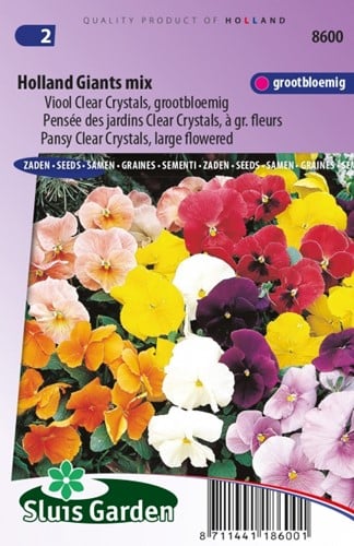 Viola Holland Giants Mix – Viola Clear Crystals