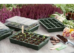 Kit germinatoio completo - Nature