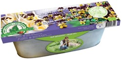 Kit germinatoio Viola Tricolore Commestibile (Prodotto Biologico)