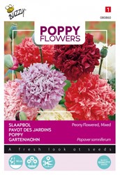Selezione semi Papaveri del mondo - Papavero a fior di peonia