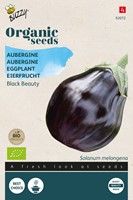 Melanzana Black Beauty - Semi Biologici