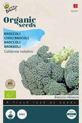 Broccoli Calabresi Verdi Bio