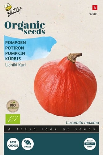 Bio Zucca Uchiki Kuri (Cucurbita) Buzzy