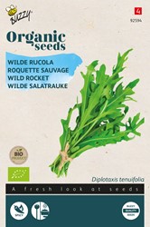 Rucola Selvatica Buzzy (Semi Biologici)
