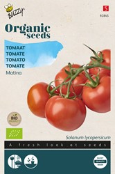 Pomodoro Matina Buzzy (Semi Biologici)